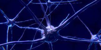 Νευρώνας