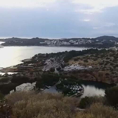 Το Δάσος της Φασκομηλιάς: Βρίσκεται στη Βουλιαγμένη