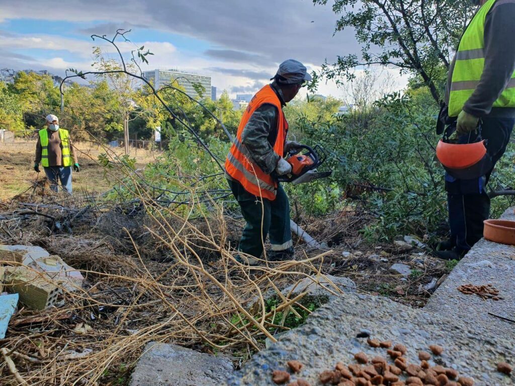 Κουντουριώτικα