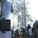 Επέτειος Γρηγορόπουλου