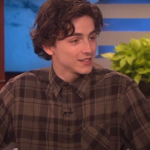 Timothée Chalamet: Όσα δεν ήξερες για τον ηθοποιό