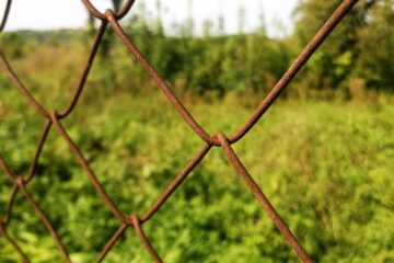 Καθαρισμός οικοπέδων: Πότε λήγει η προθεσμία για όλους