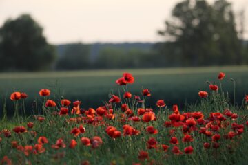 Καιρός Πάσχα: Πότε χαλάει ο καιρός για τους εκδρομείς