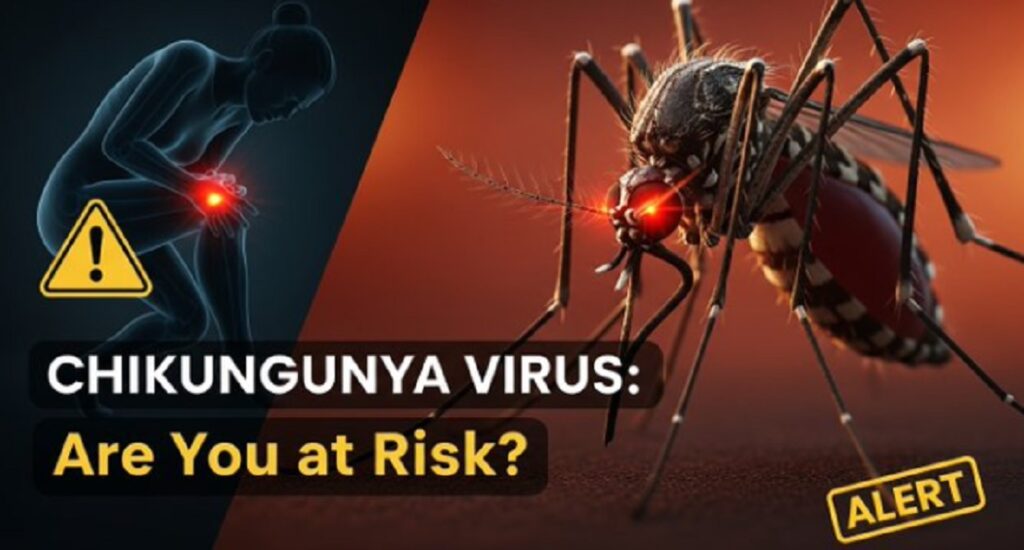 Ιός Chikungunya: Συναγερμός στην Κίνα με χιλιάδες κρούσματα
