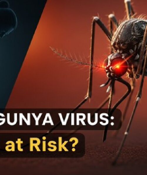 Ιός Chikungunya: Συναγερμός στην Κίνα με χιλιάδες κρούσματα