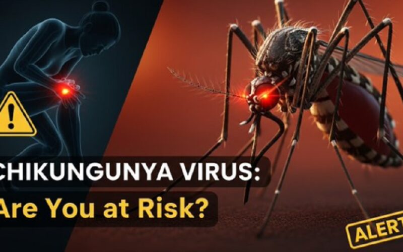 Ιός Chikungunya