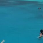 Ιθάκη: Αγριογούρουνο κολυμπούσε προς τουρίστριες