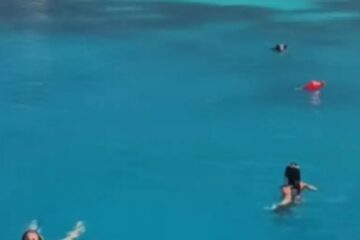 Ιθάκη: Αγριογούρουνο κολυμπούσε προς τουρίστριες