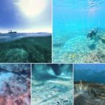 Αρχαιολογική ανακάλυψη στο λιμάνι της ακολασίας – Το λουτρό του Κικερώνα